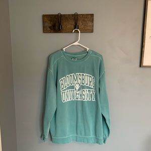 Comfort Color Crewneck Sweatshirt—Unisex XL—Mint